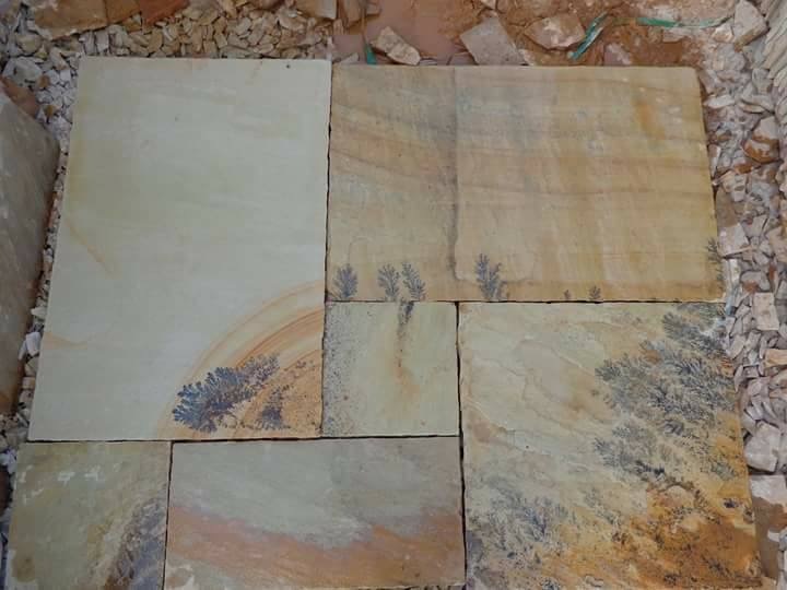 Fossil Mint Natural Sandstone Paving Slabs - Sandstone Form: Cut-to-size