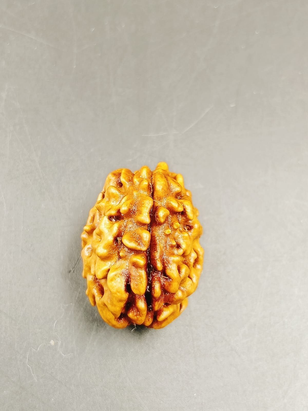 1 Mukhi Rudraksha Himalayan - Occasion: Religious