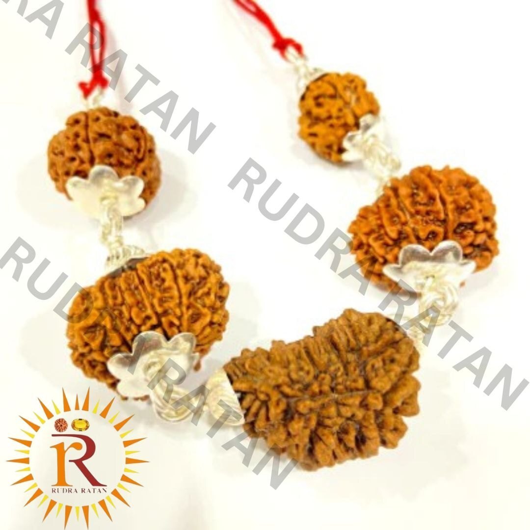 Heart Siddh Kavach Rudraksha - Jewelry Type: Mala