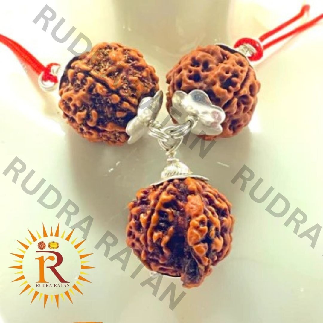 Siddh Laxmi Ganesh Kavach - Jewelry Type: Pendent