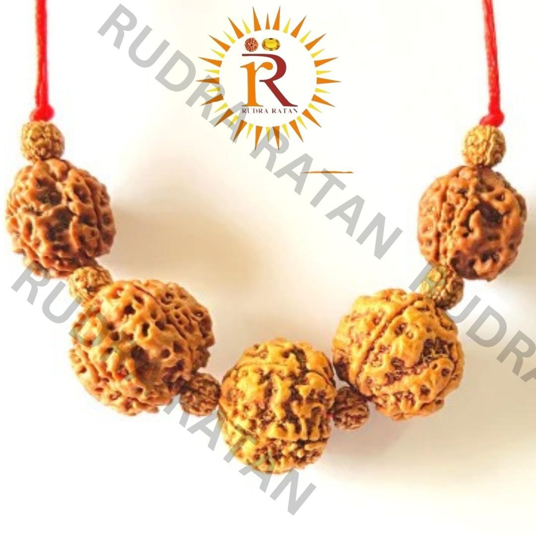 Siddh Health Rudraksha Kavach - Jewelry Type: Pendent