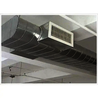 सादा चपटा अंडाकार वायु नलिका