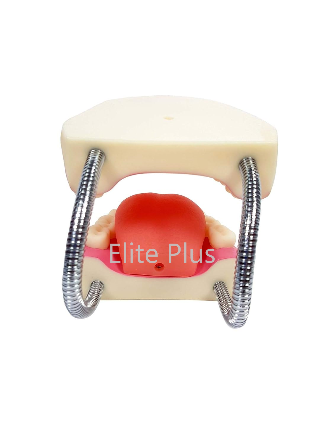 歯むんちゅ Zx-1427 Teeth Care Model Enlarged With Giant Teeth Brush - Pvc
