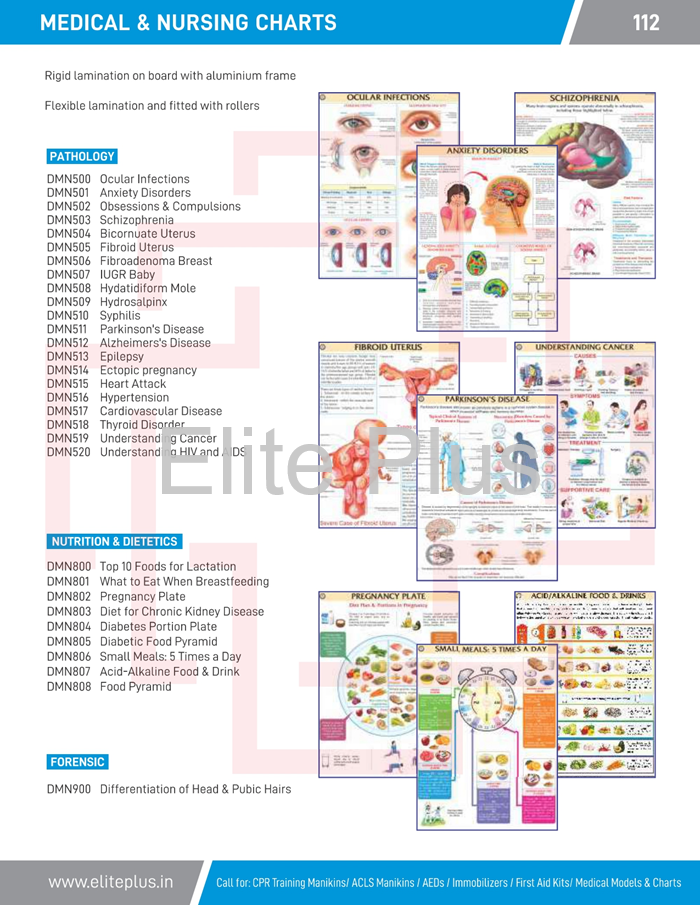 Nurses Medical Chart Medical & Nursing Charts - Rigid Pvc Lamination With Aluminium Frame ...