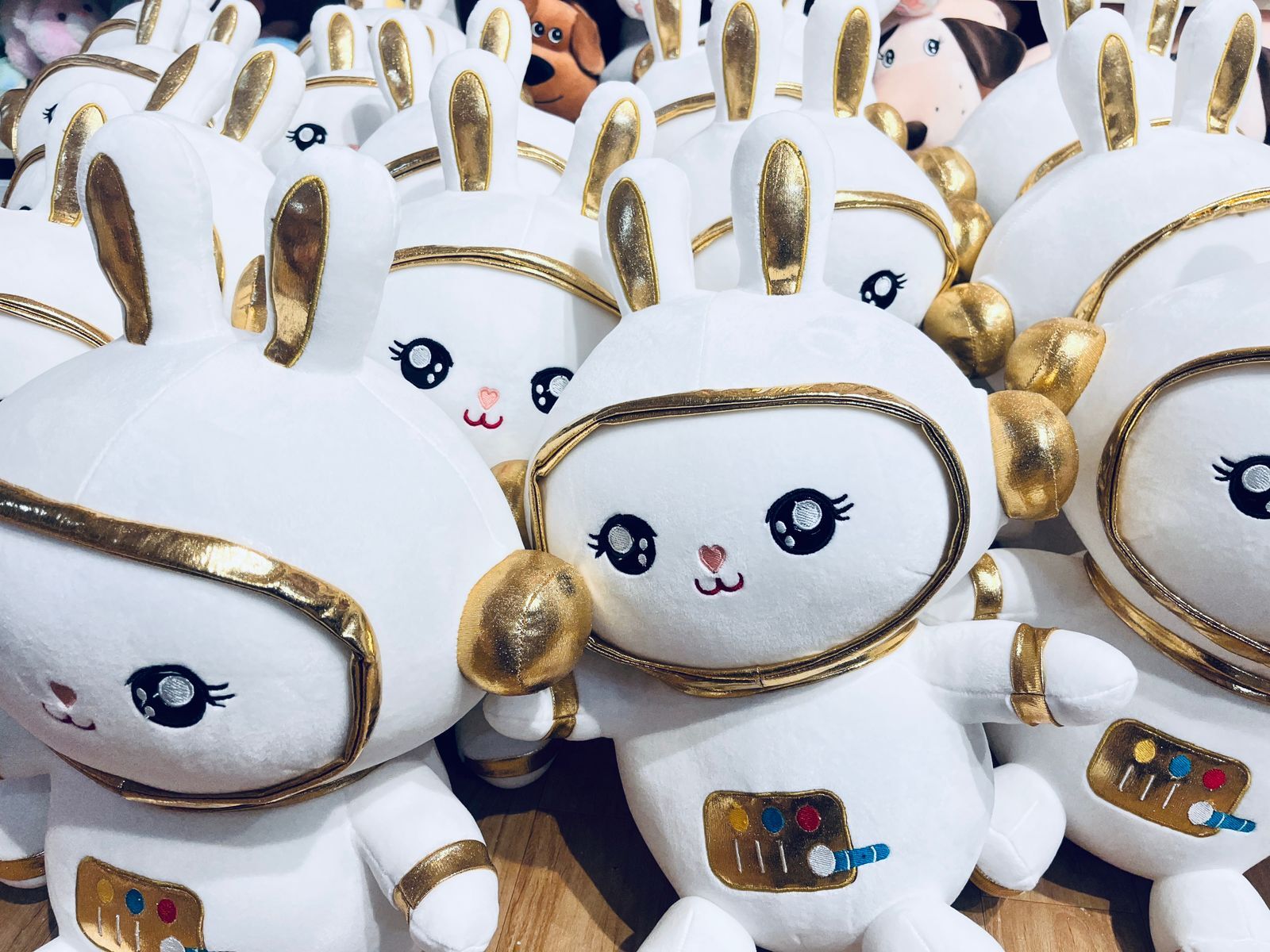 Space Rabbit Soft Toys