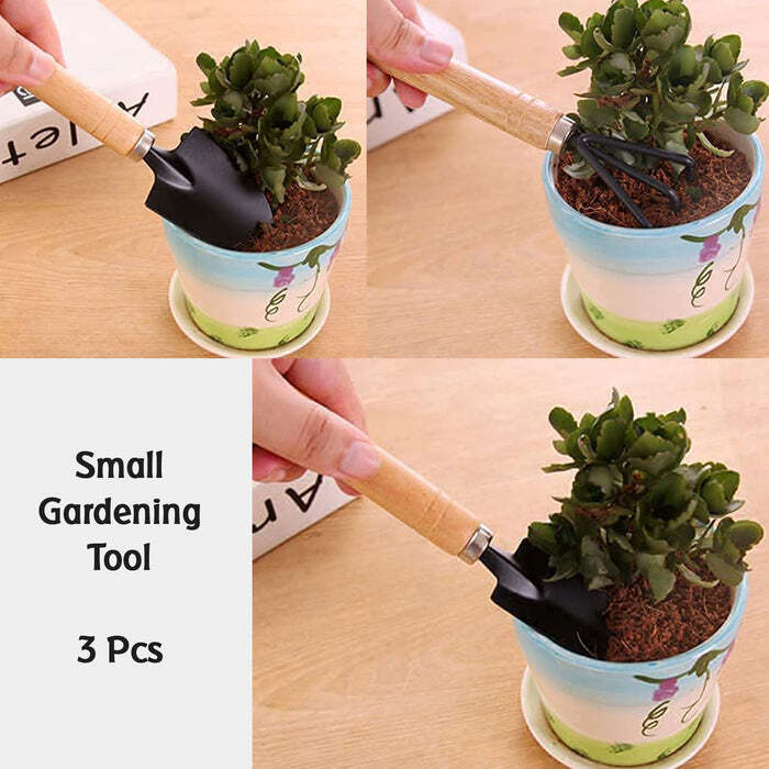 Small Sized Hand Cultivator, Small Trowel