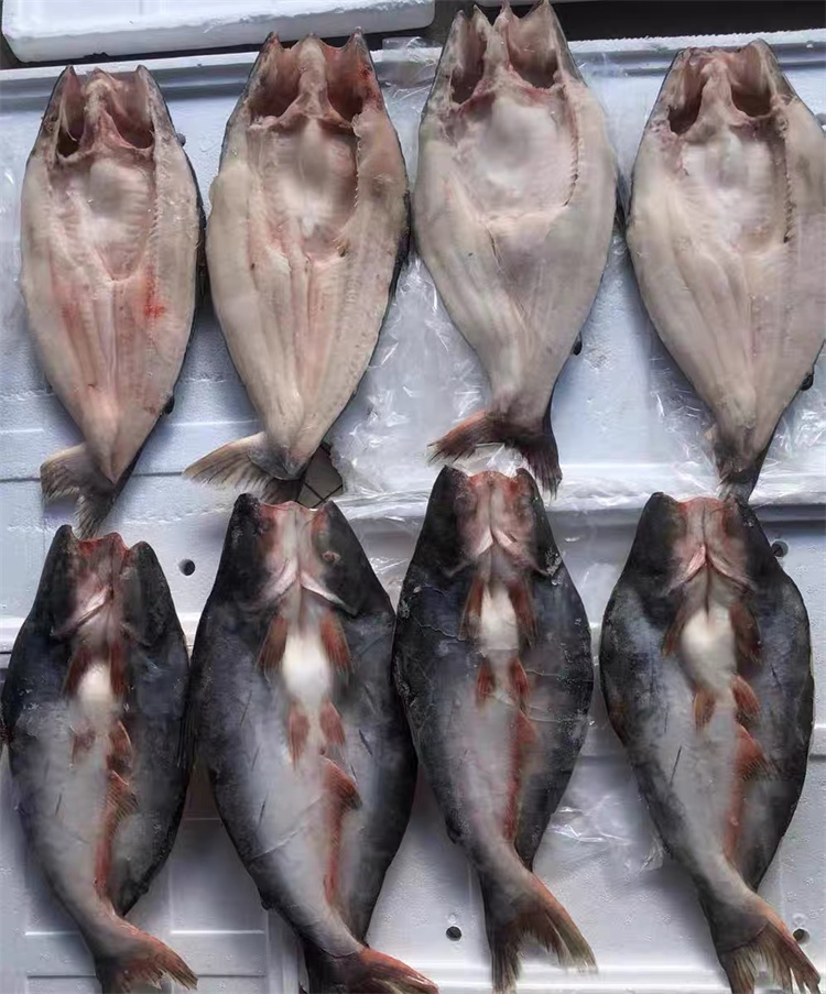 Ydtw-h150 Industrial Fish Filleting Machine - 304 Stainless Steel, 1500*800*1300mm, 2.0kw, Capacity 50-60 Fishes/minute, Suitable For Small Fish