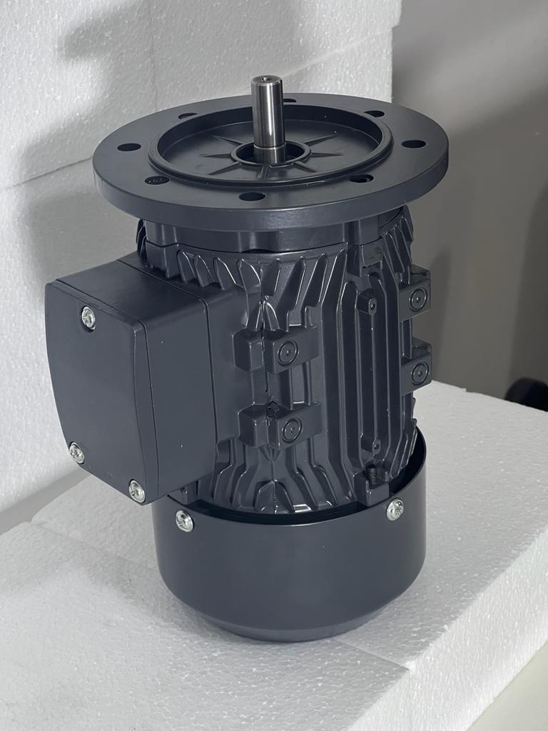 Blue 1440 Rpm Ac Three Phase Flange Type Motor