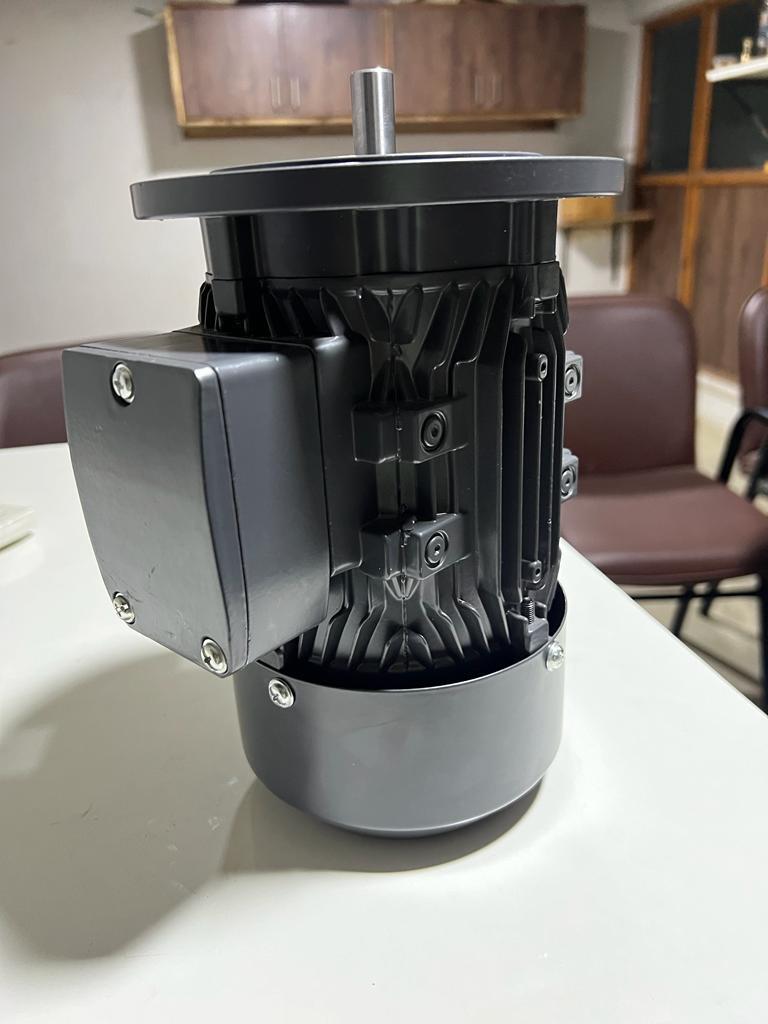 Blue 1440 Rpm Ac Three Phase Flange Type Motor