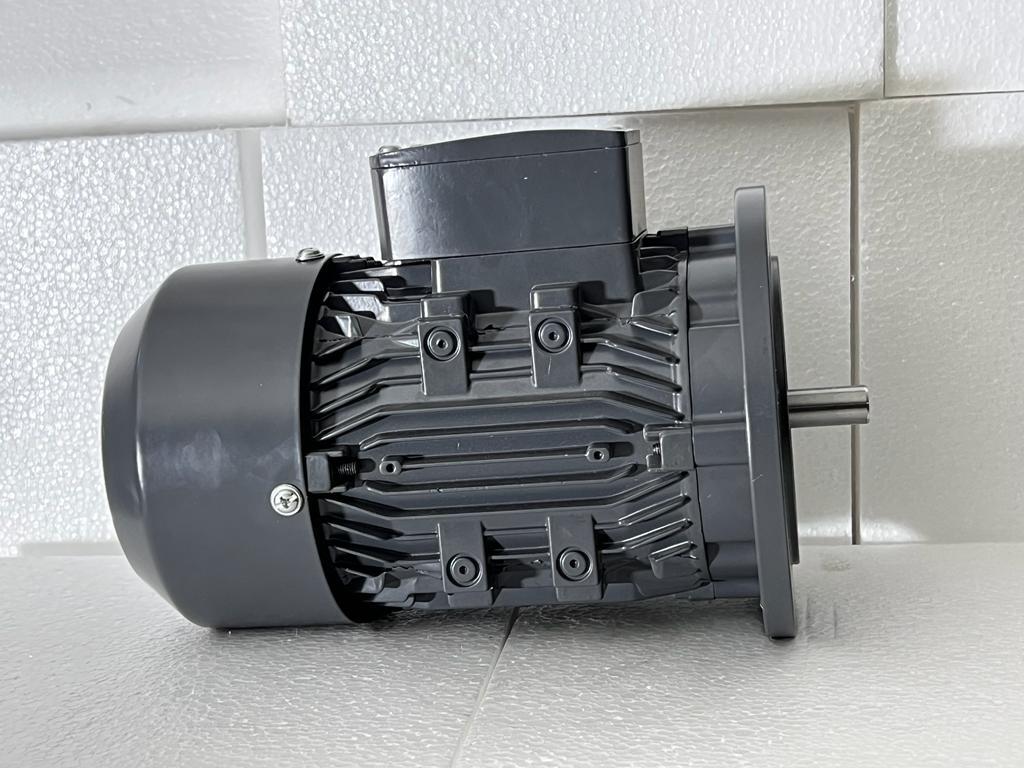 Blue 1440 Rpm Ac Three Phase Flange Type Motor