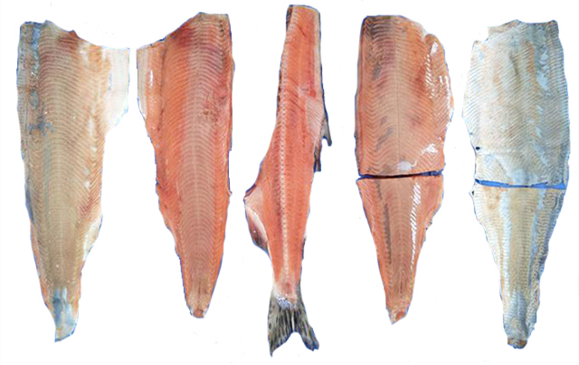 Ydtw-m230 Fish Filleting Machine Salmon Filleting Machine