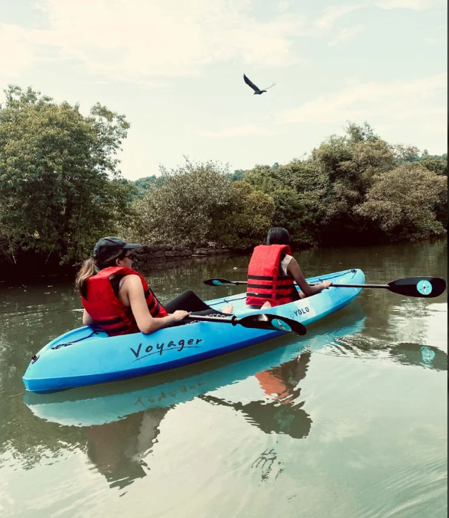 Polyethylene Multicolor Voyager Tandem 2 Seater Sit On Top Kayak/ Indian 2 Seater Kayak/ Yolo 2 Seater Kayak/ Yolo Kayak 2 Person