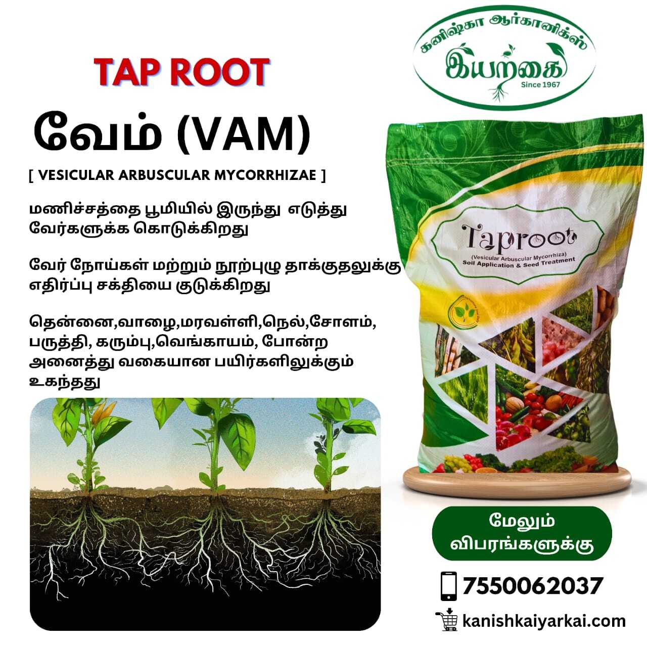 Vesicullar Micorizicha Arbuscullar Application: Agriculture