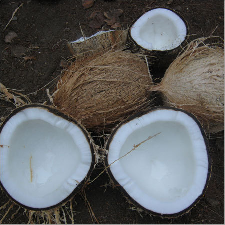 नारियल के खोल के हलवे