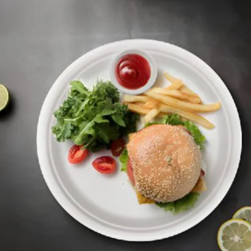 12 Inch Round Plate - Sugar Cane Bagasse Material, 12 Inch Size, White Color | Designed for Food Industry Applications