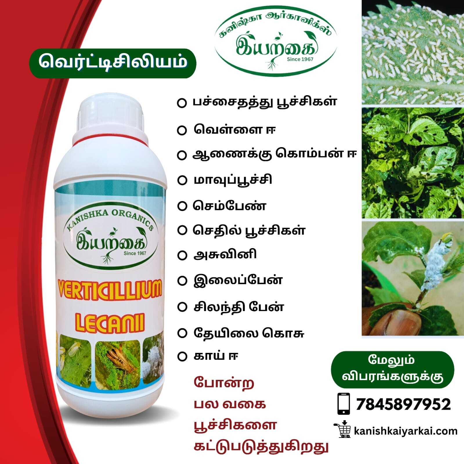 Verticillium Lecanii - 200ml Liquid Bio Pesticide With Controlled Release, 98%-100% Purity, Yellow Color For Effective Pest Control
