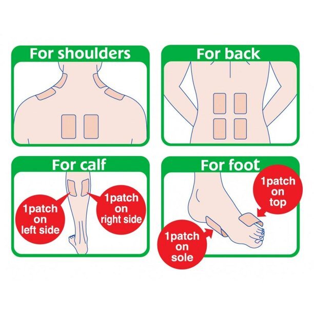 Salonpas Pain Relieving Patch - 2.83x1.81 Inches | 60 Disposable Patches With 3 Powerful Pain Fighters For Up To 8 Hours Of Relief