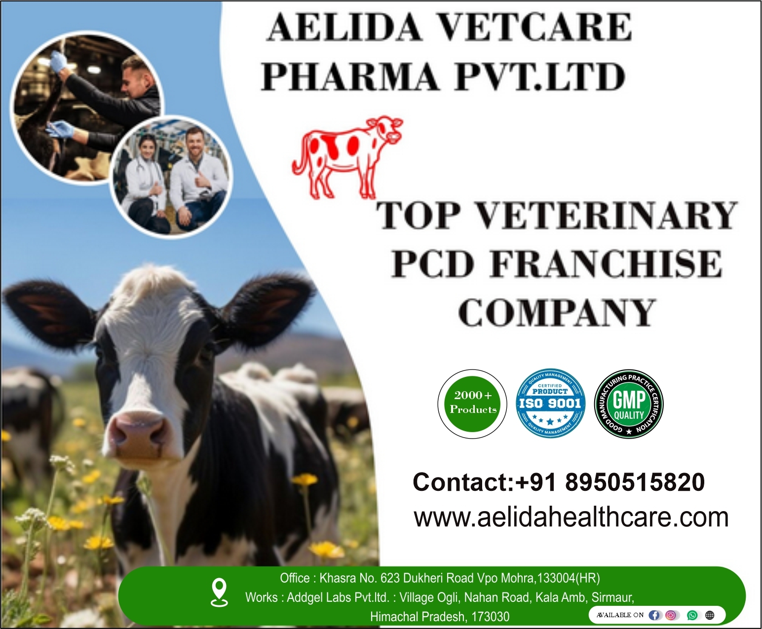 Amoxicillin And Sulbactam Injection 4.5 Gm In Veterinary Pcd Pharma Franchise