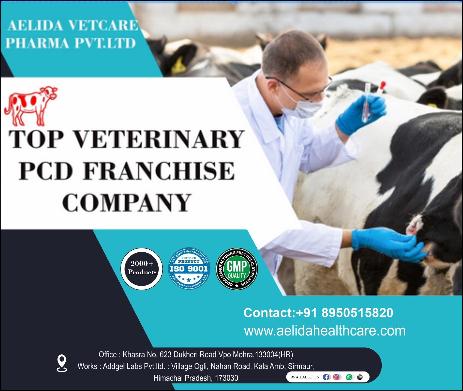 Amoxicillin And Sulbactam Injection 4.5 Gm In Veterinary Pcd Pharma Franchise