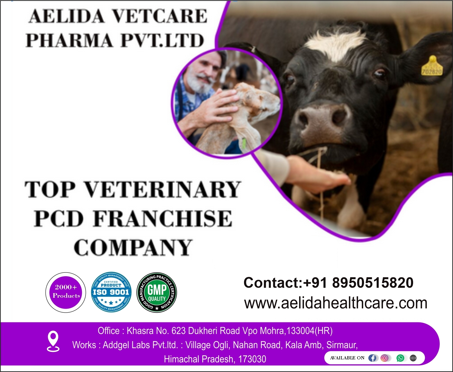 Amoxicillin And Sulbactam Injection 4.5 Gm In Veterinary Pcd Pharma Franchise