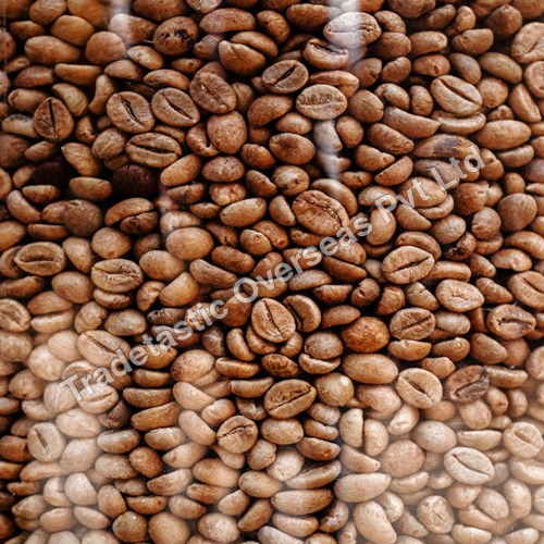 500 Kg Coffee Beans - Cultivation Type: Organic