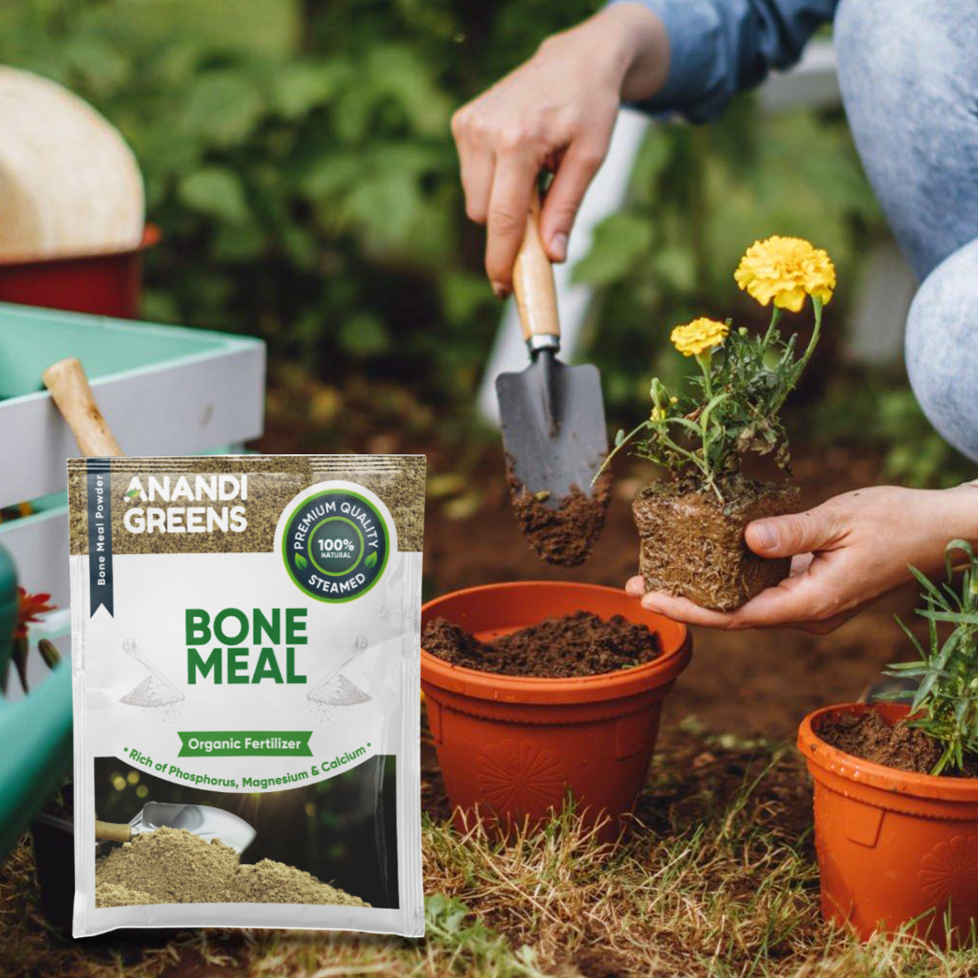 Meat Bone Meal Powder - Brown Matte Finish | Agricultural Use, Nutrient-rich Organic Fertilizer