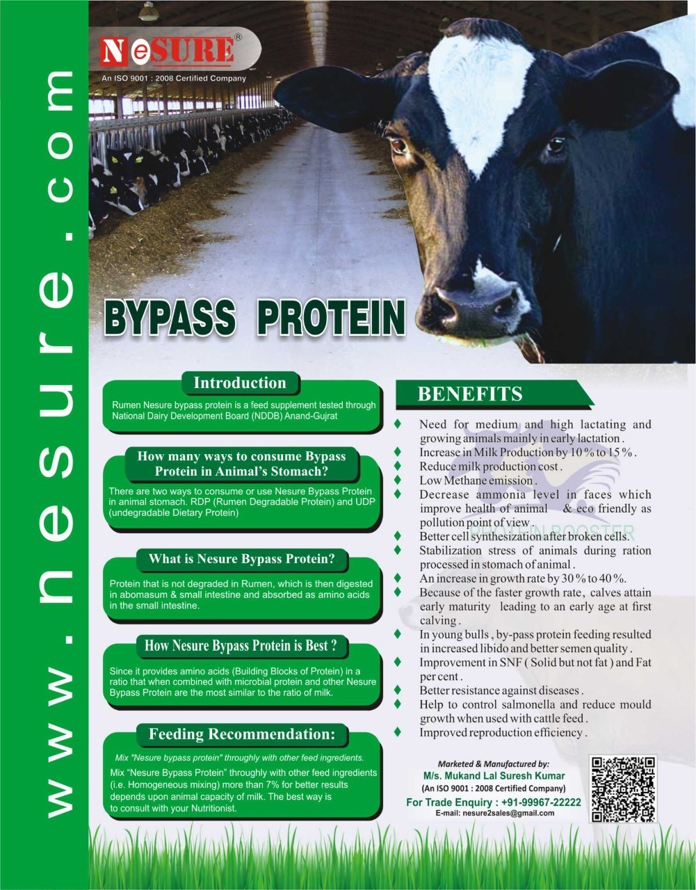 Nesure Bypass Protin - Physical Form: Powder