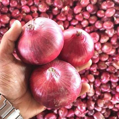 ताज़ा प्याज़