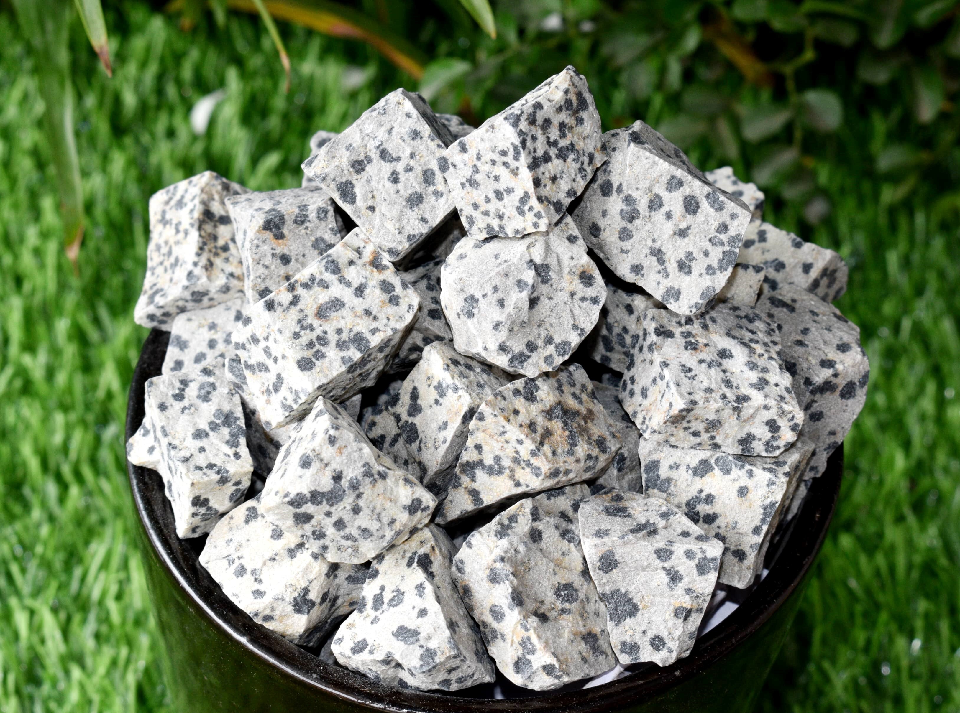 Dalmatian Jasper Rough Stone Crystal Raw Stone Rough Rock - Grade: Aaa