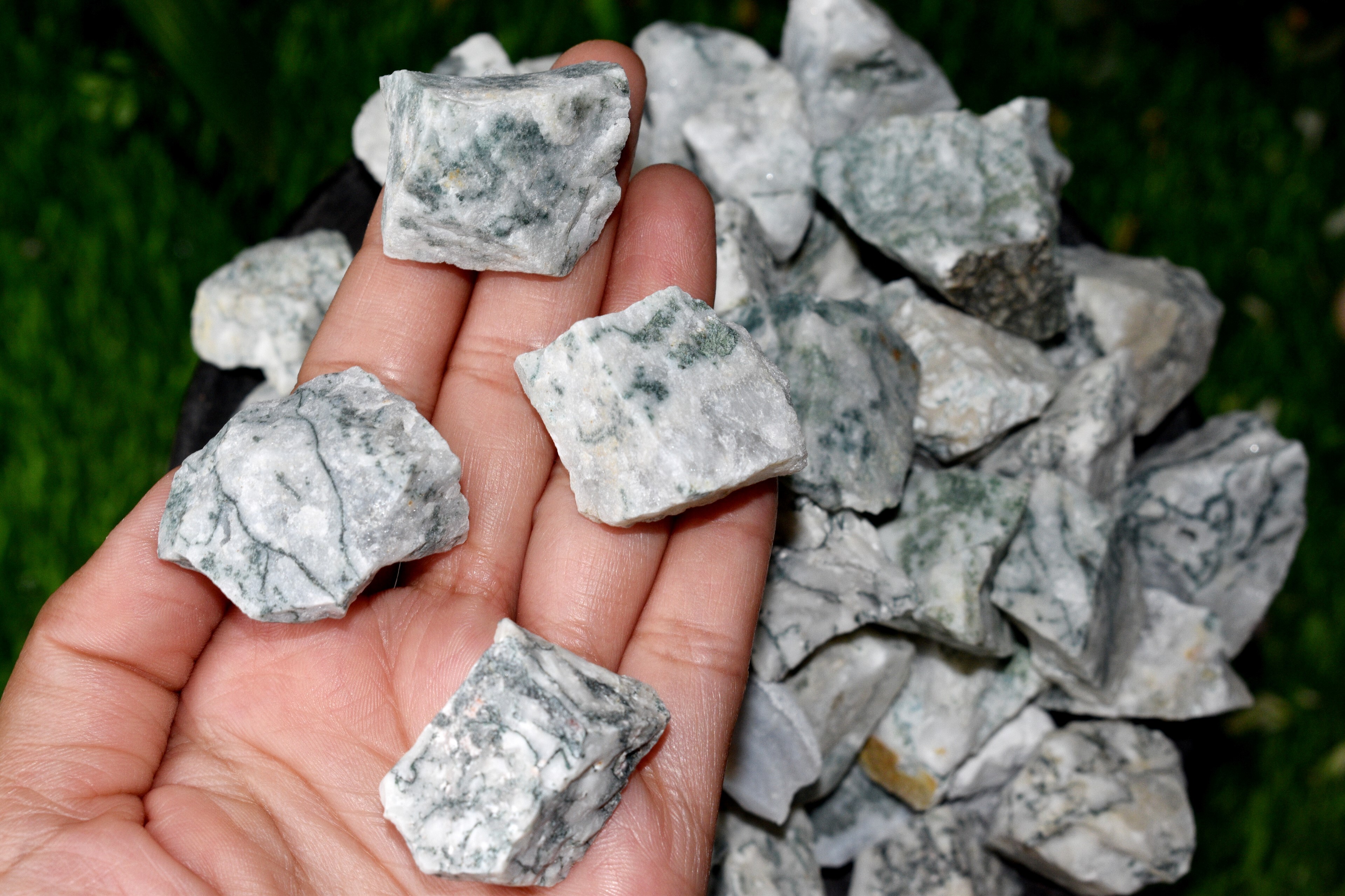 Tree Agate Rough Stone Crystal Raw Stone Rough Rock - 1 Inch Natural Multi-shape Rough Stone | Aaa Grade, Unique Beautiful Patterns