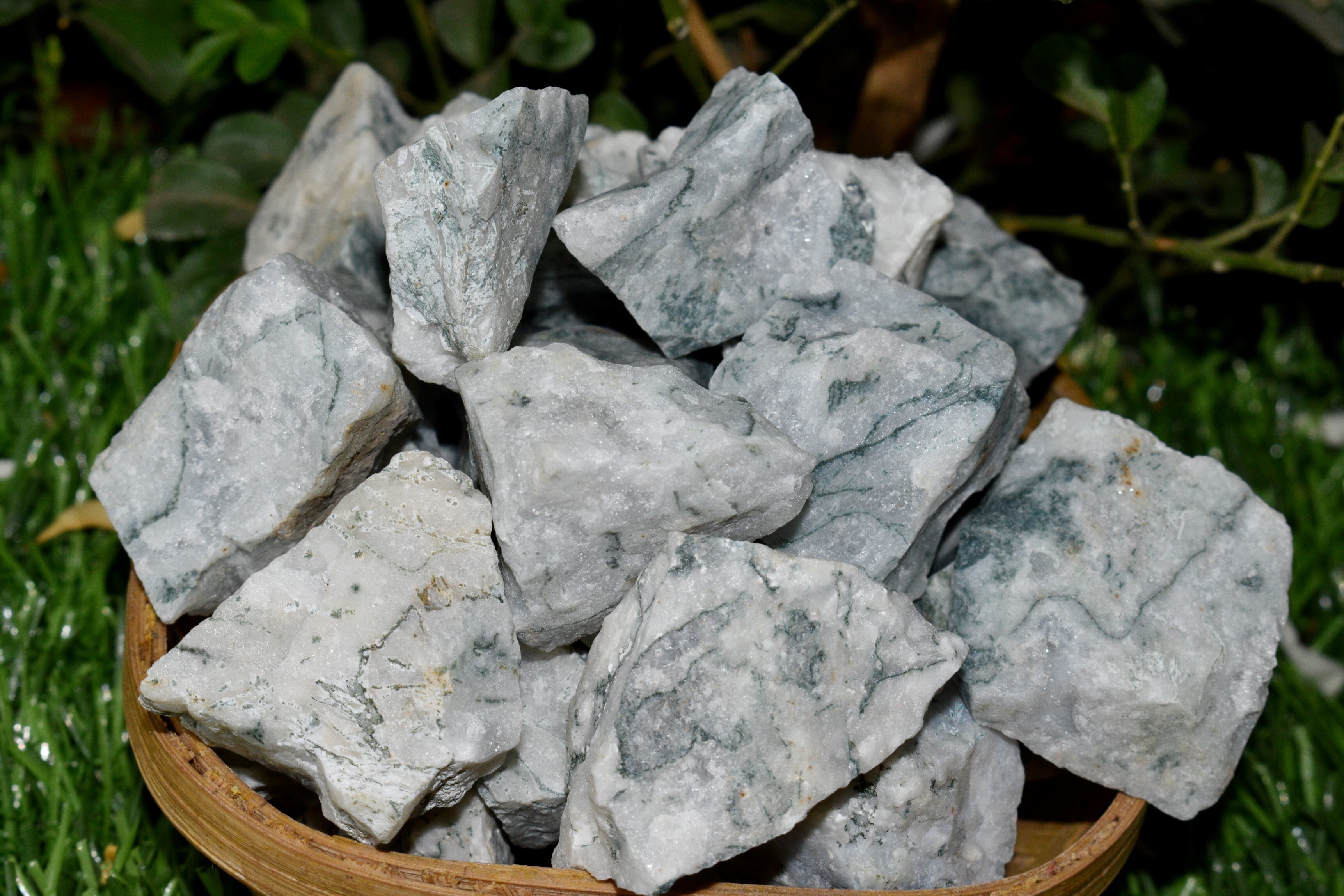 Tree Agate Rough Stone Crystal Raw Stone Rough Rock - 1 Inch Natural Multi-shape Rough Stone | Aaa Grade, Unique Beautiful Patterns