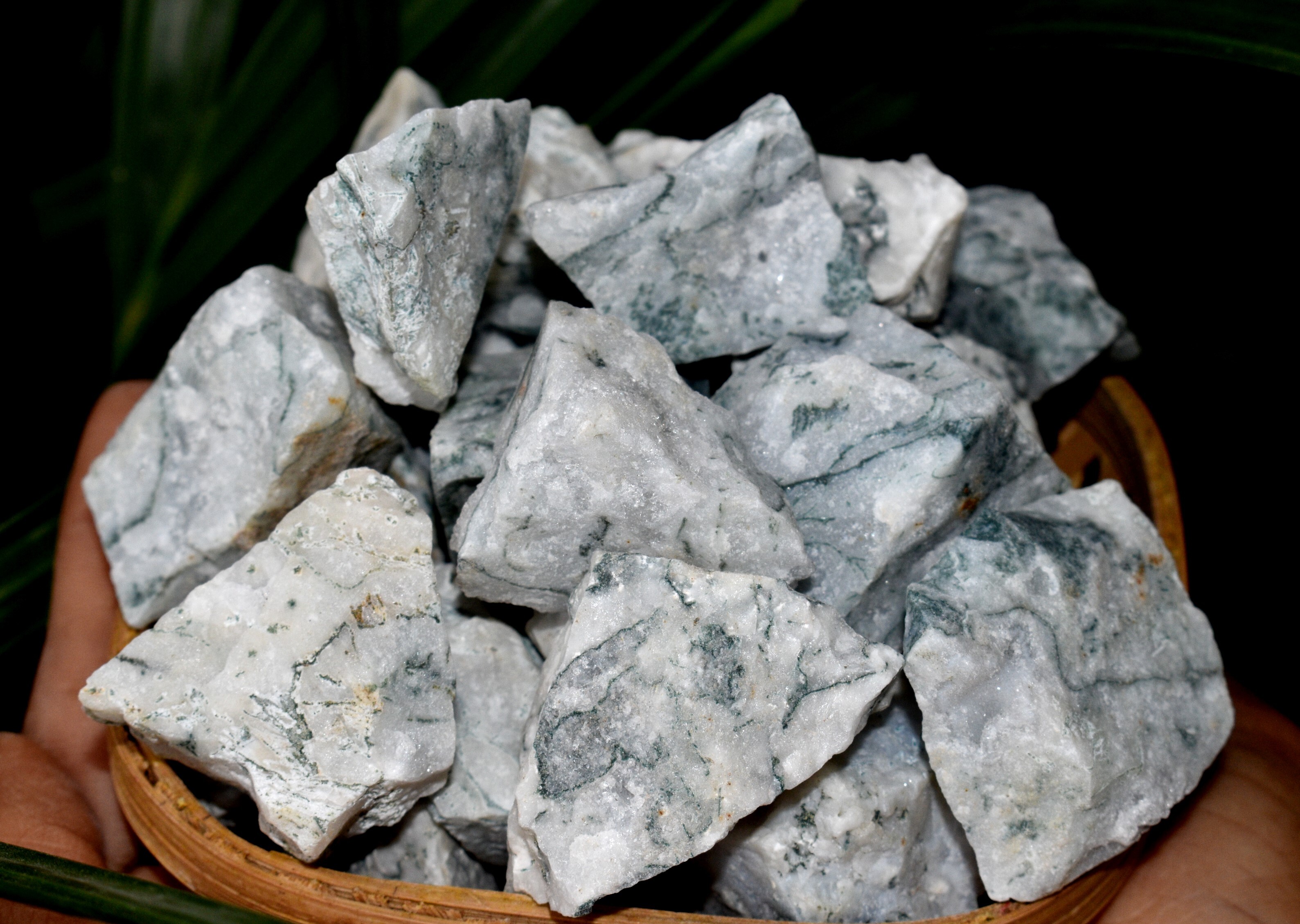 Tree Agate Rough Stone Crystal Raw Stone Rough Rock - 1 Inch Natural Multi-shape Rough Stone | Aaa Grade, Unique Beautiful Patterns