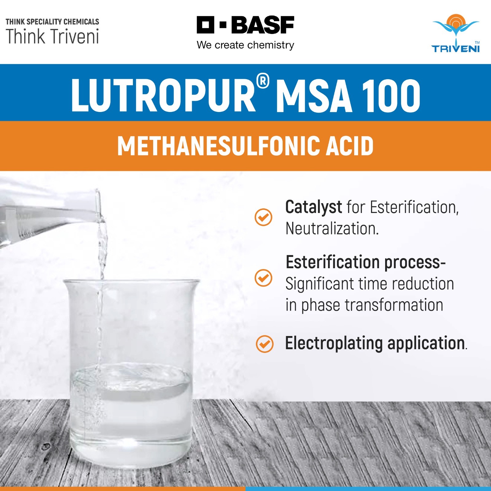 Lutropur Msa 100 - Application: Industrial
