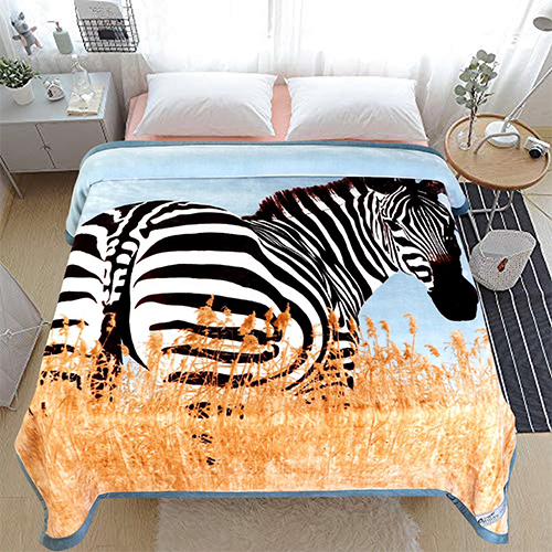 Printed Blanket - Age Group: Adults