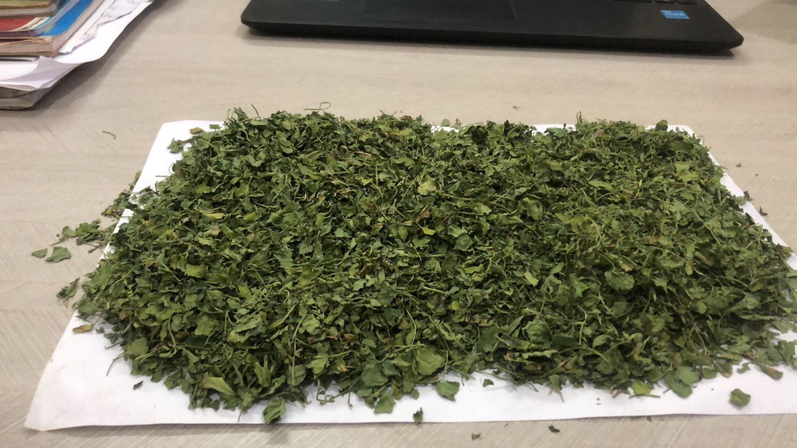 Kasuri Methi - Color: Green