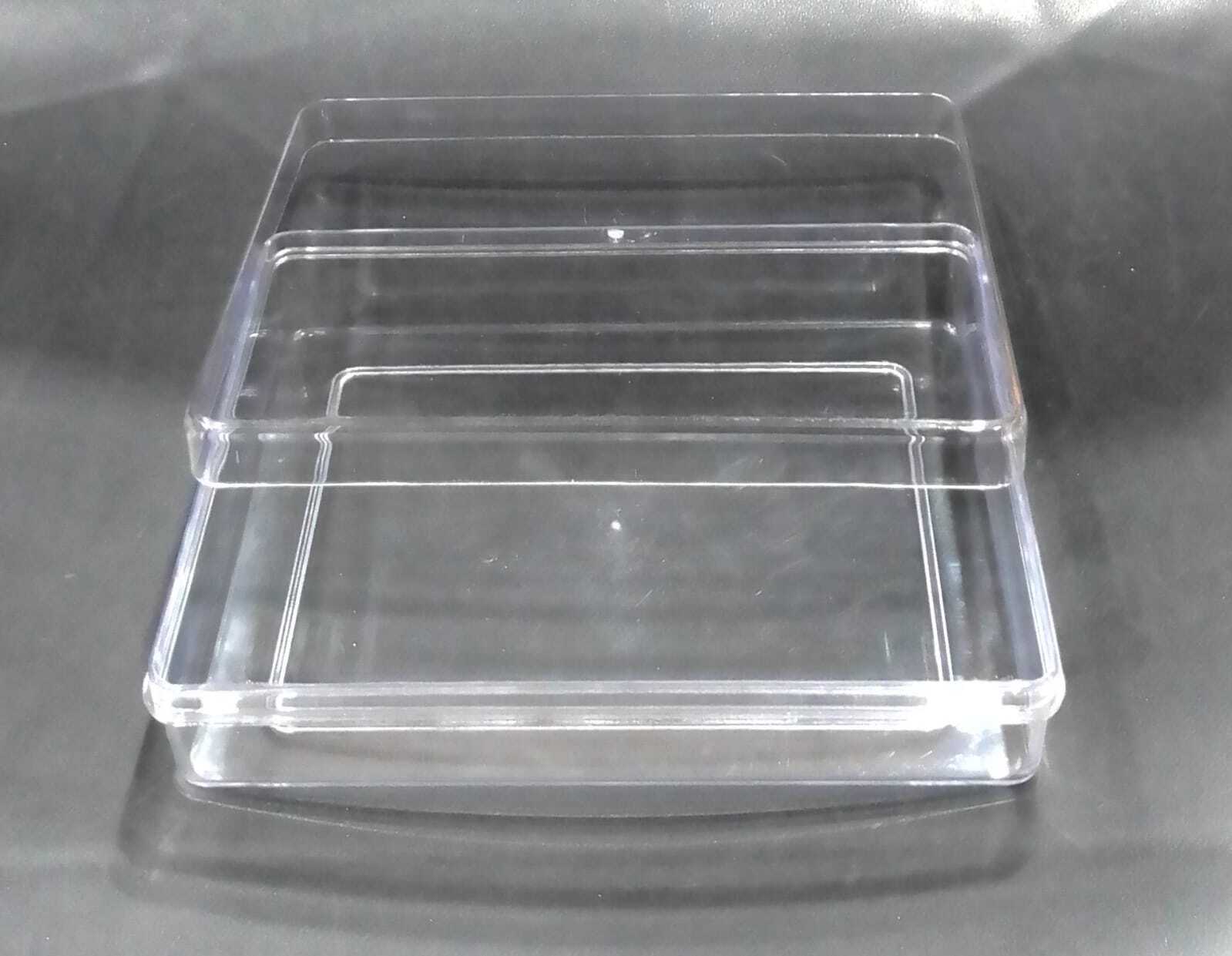 Recto Small With 6 Pcs Cavity - Plastic, Standard Size, Rectangular Shape | Lid Cover For Preservation, Food Grade & Hygienic Design
