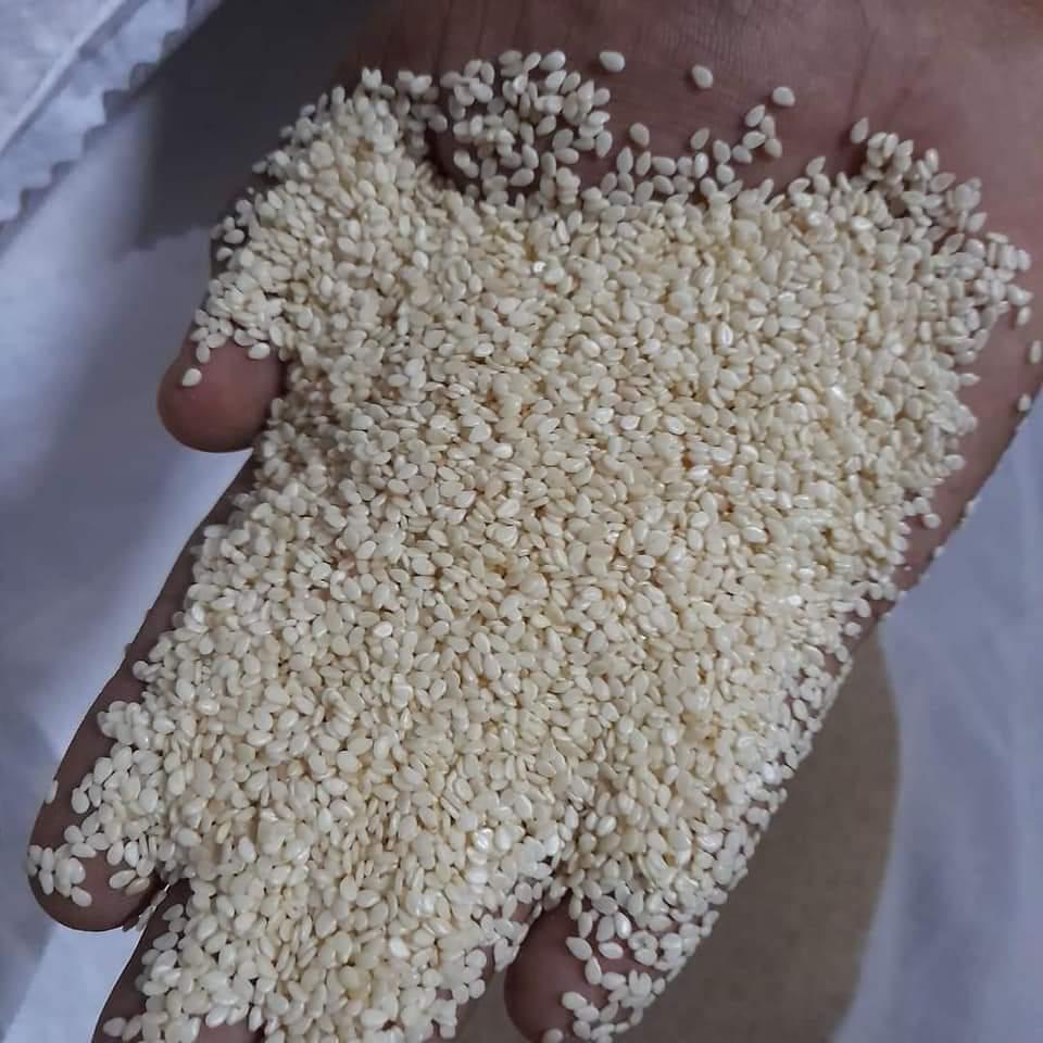 High Quality Raw White Sesame Seeds 99.9 % Purity