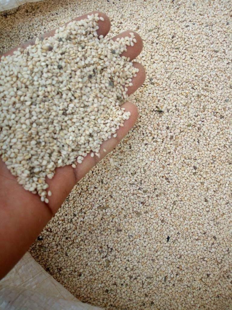 High Quality Raw White Sesame Seeds 99.9 % Purity