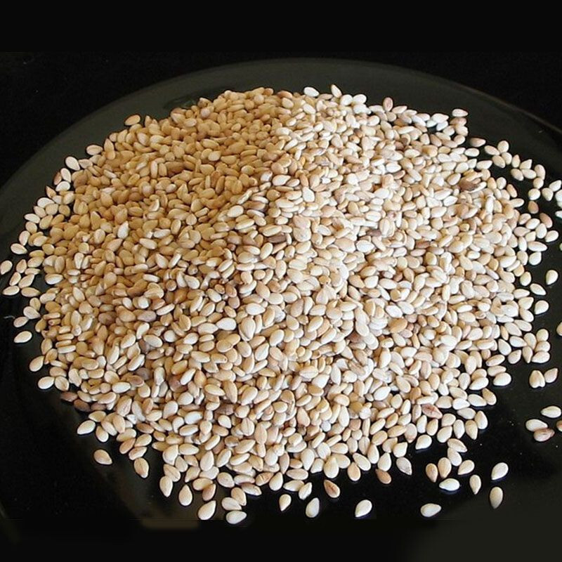 Pure Sesame Seeds New Stock