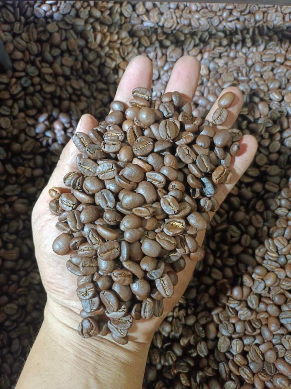 Robusta Coffe(grade A) And Arabica Coffee Beans(grade A)
