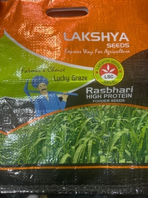 Lucky Graze Sorghum Sudan Grass - Hybrid Seeds, Rapid Growth, High Biomass Production, Strong Drought Tolerance, Excellent Adaptability