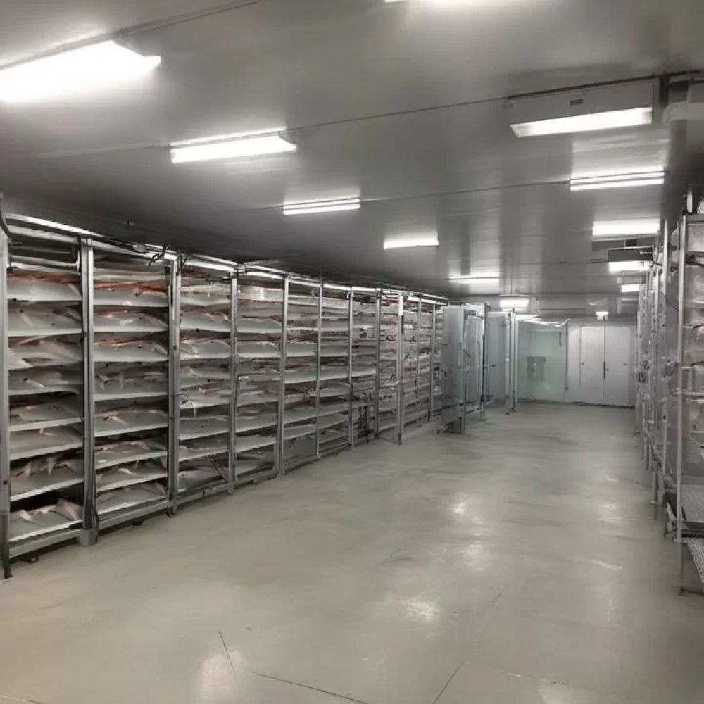 Fish Cold Room