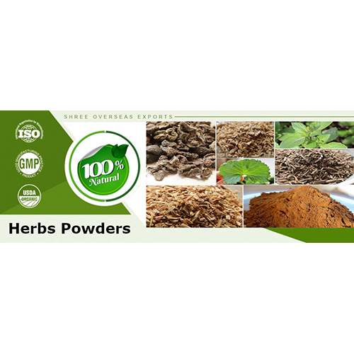 Herbs Powders By Shree Overseas Exports