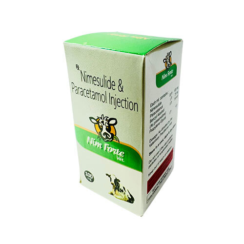 निम फोर्ट नाइमेसुलाइड और पैरासिटामोल इंजेक्शन