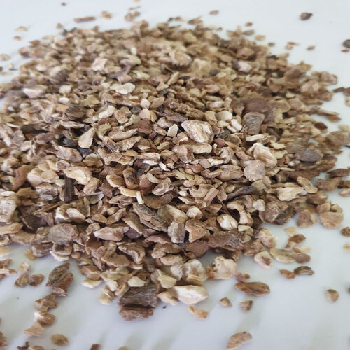 सिकोरी जड़ कटी हुई