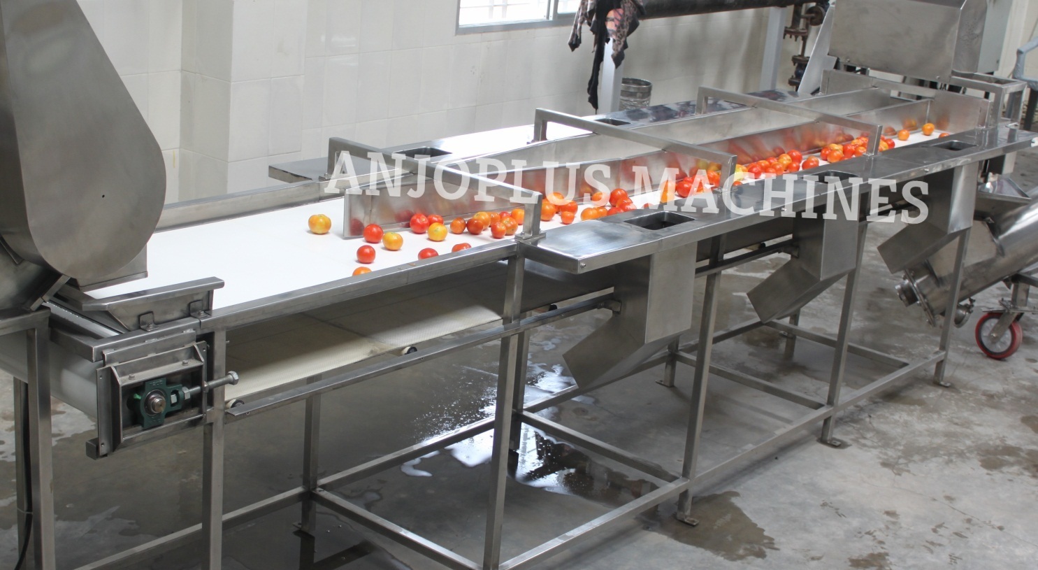 High Efficiency Tomato Processing Machine