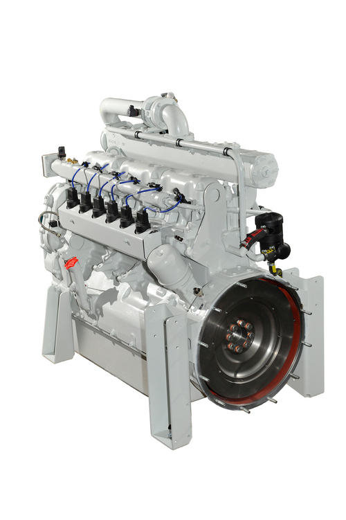 Bio Gas Engine