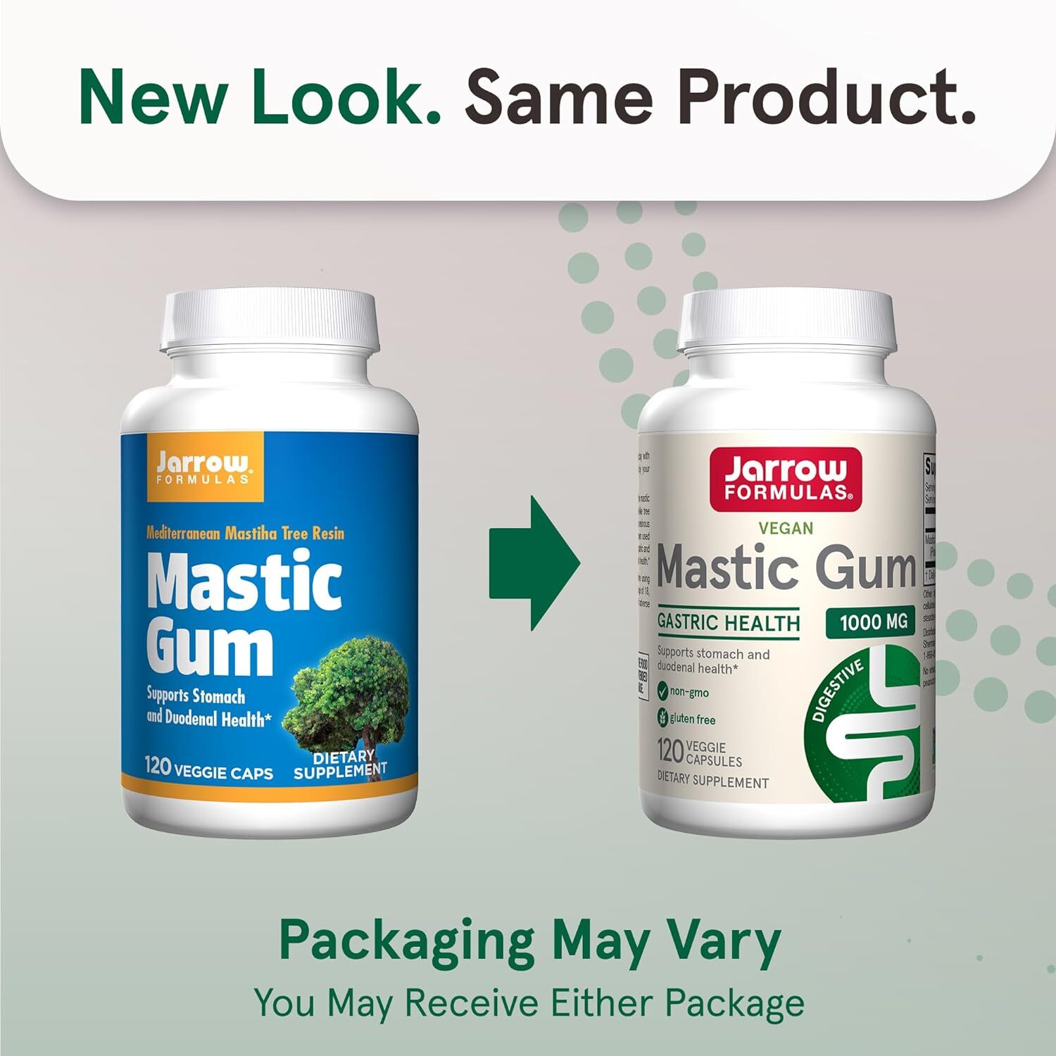 Jarrow Formulas Mastic Gum 1000 Mg, Dietary Supplement 120 Caps