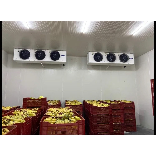 Stainless Steel Banana Ripening Chamber