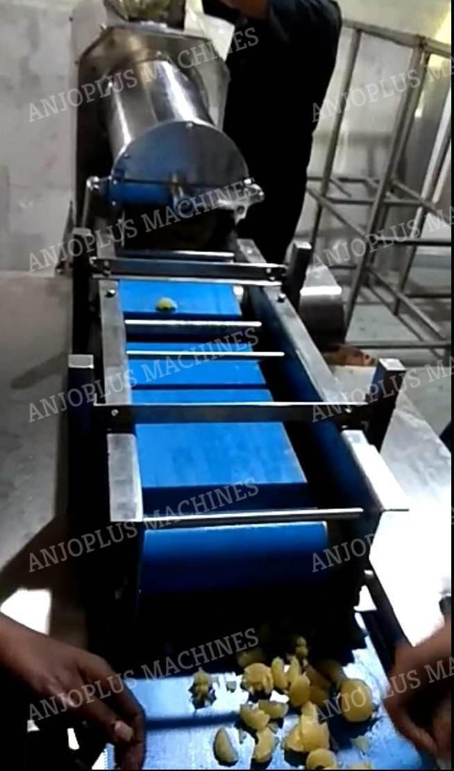 Boiled Amla Breaking / Segmenting